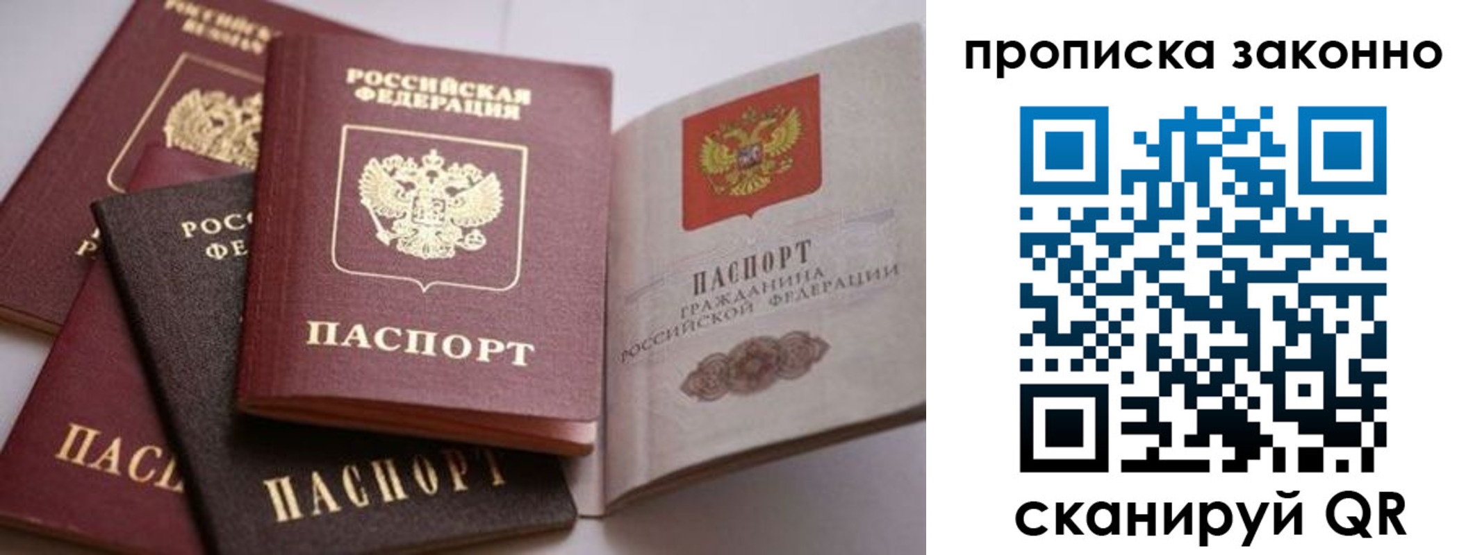 прописка 2025 в Оленегорске